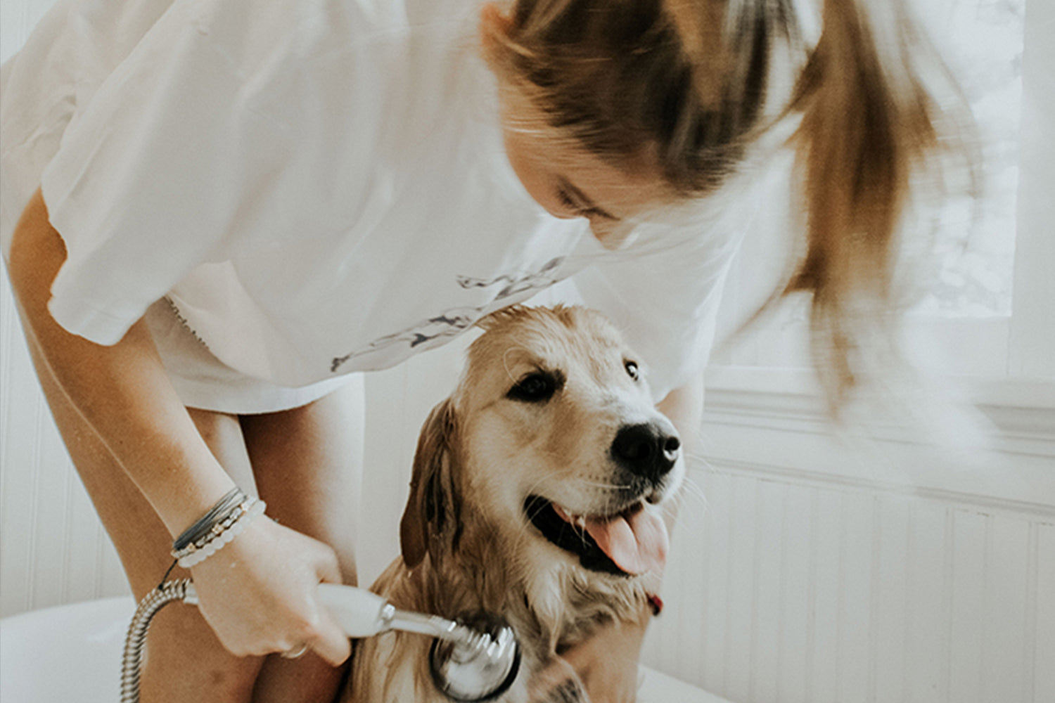 9 Ways to Keep Your Pet Even with Allergies
