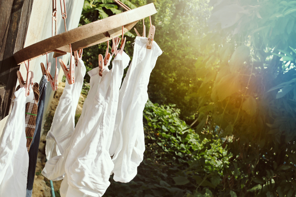 Organic Cotton Underwear is Good for the Planet