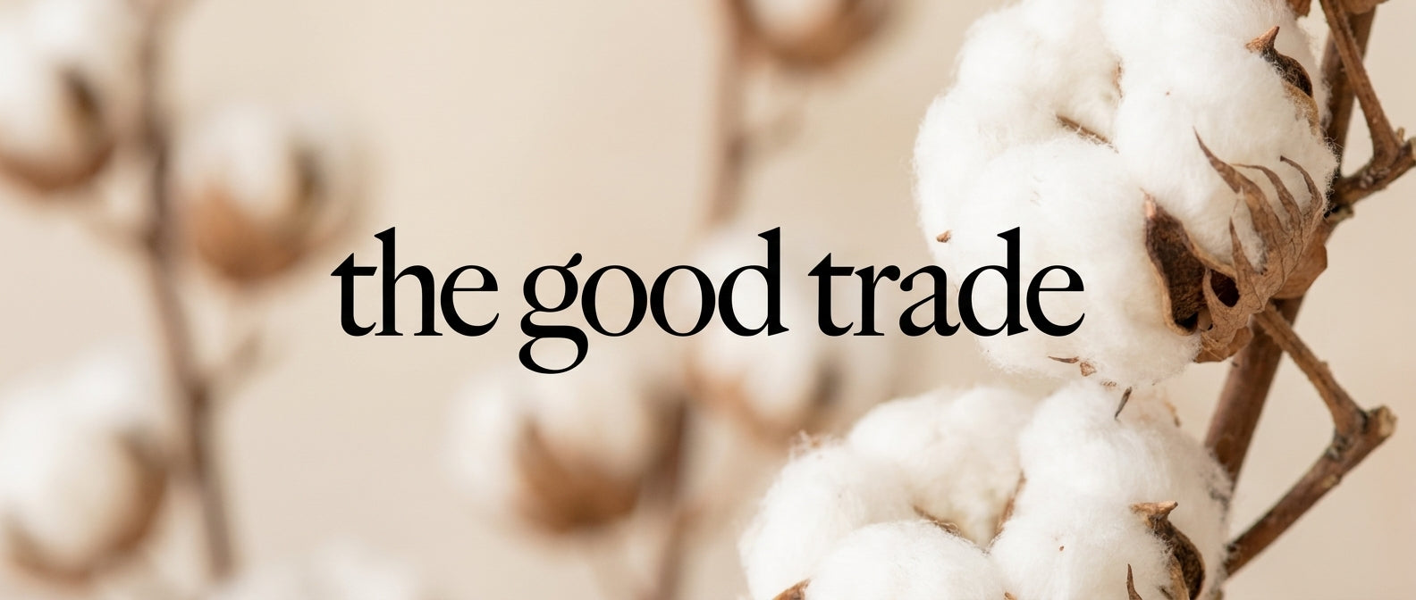 Cottonique Featured by The Good Trade as one of the Best Organic and Nontoxic Bras