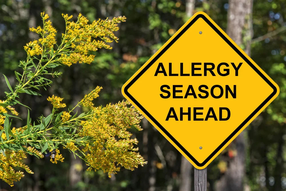 Yellow allergy season ahead sign near blooming wildflowers, signaling pollen and allergy concerns.