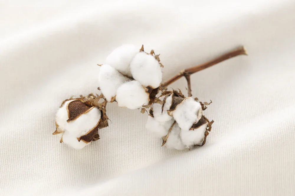 Cottonique is Environmentally Friendly