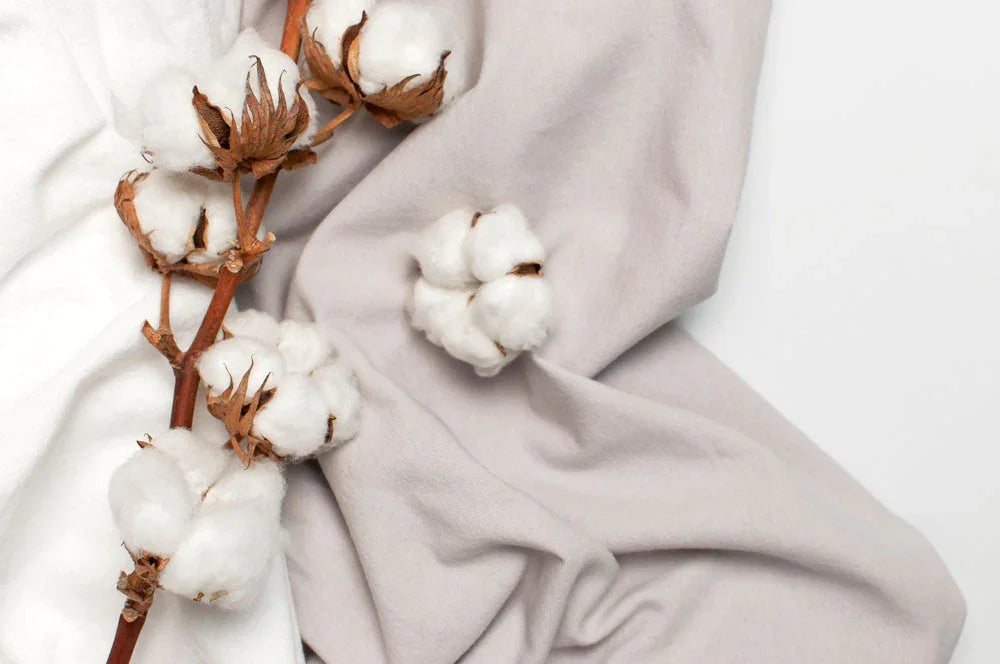 Organic cotton branch on soft white and beige fabric, hypoallergenic textile concept
