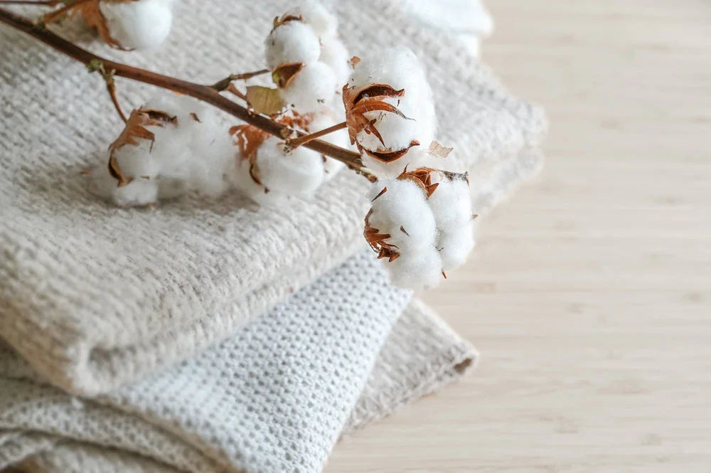 Organic cotton branch on folded allergy-friendly fabric for sensitive skin