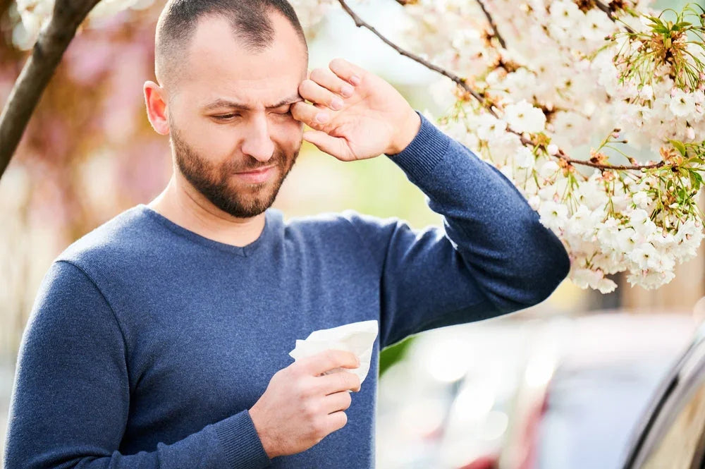 Man in blue sweater experiencing allergies outdoors near blooming tree, holding tissue